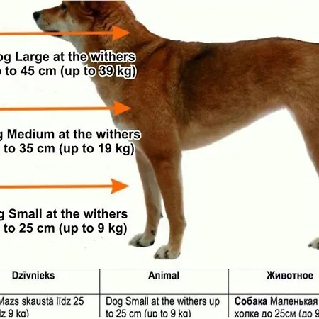 Elegant 3-bedroom Haven